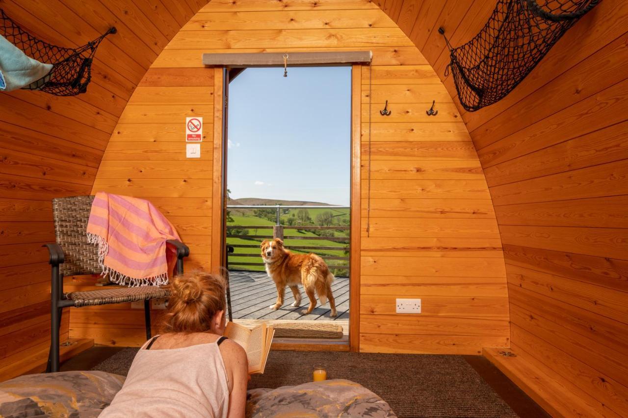 Отель Ty Grug Pods Bryngwyn Экстерьер фото